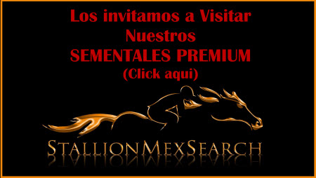 Sementales Premium Banner